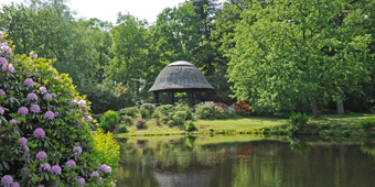 Virtueller Rundgang durch den Schlosspark Lütetsburg